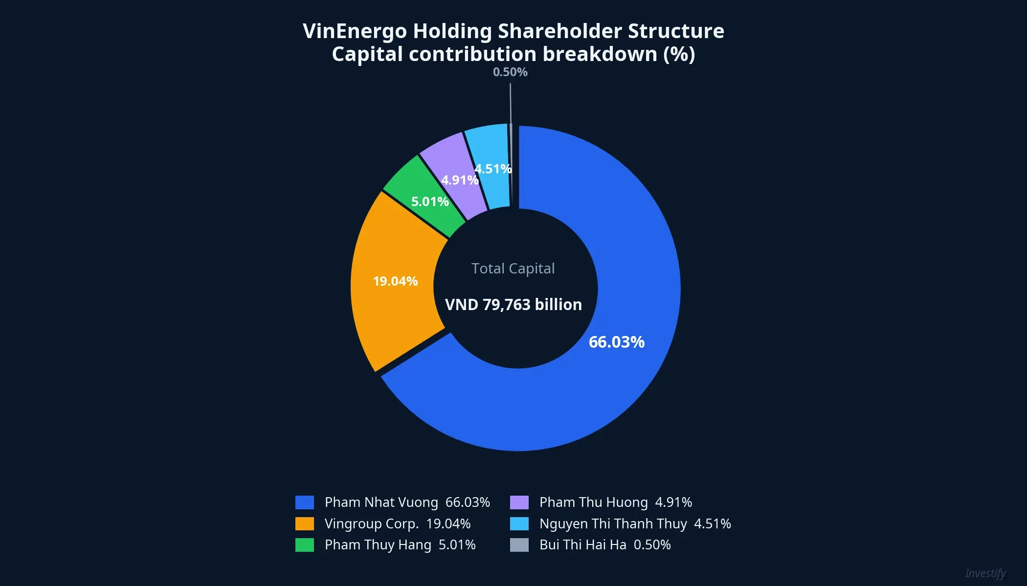 VinEnergo Holding Shareholder Structure