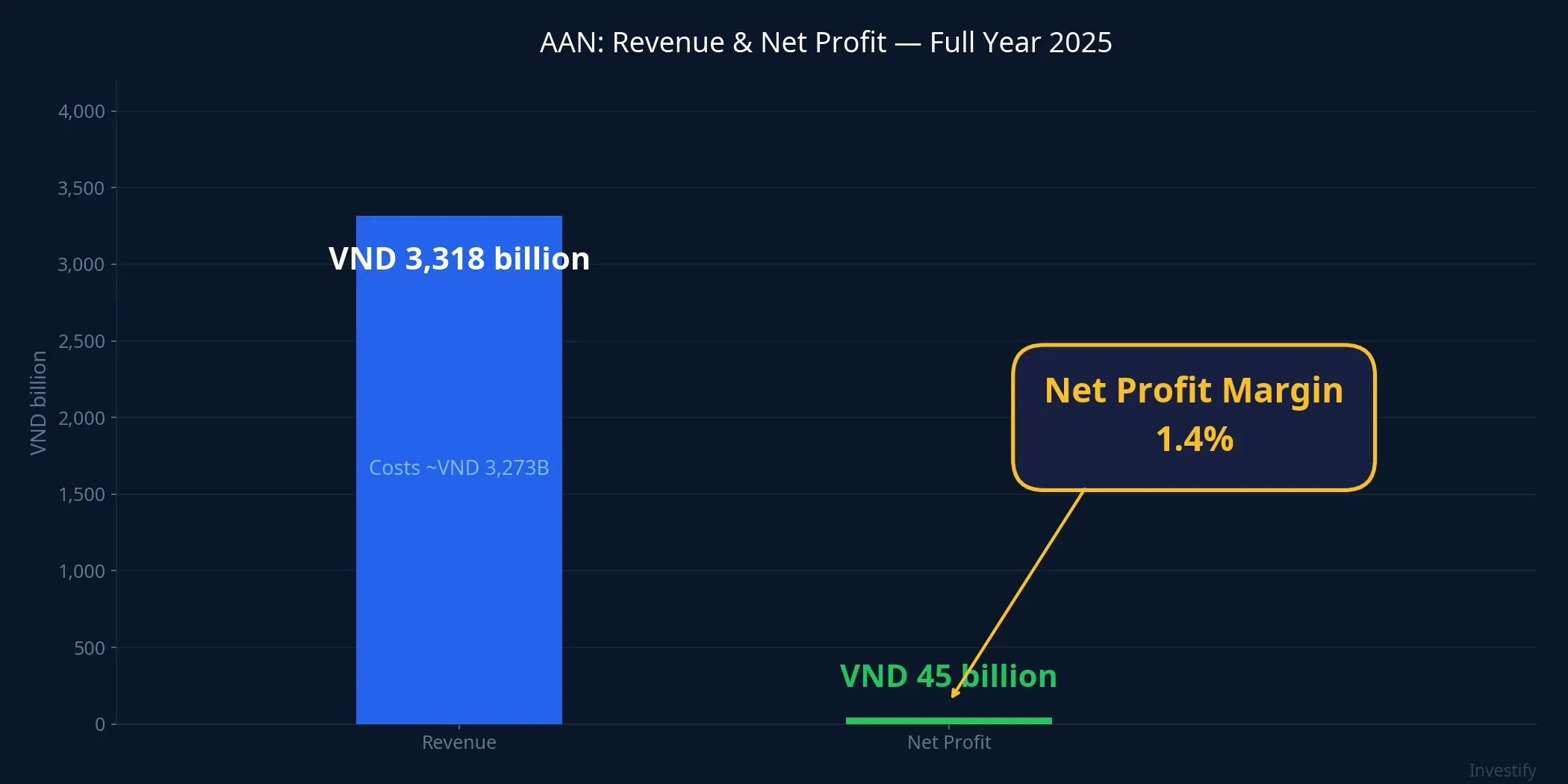 AAN revenue and net profit, full year 2025