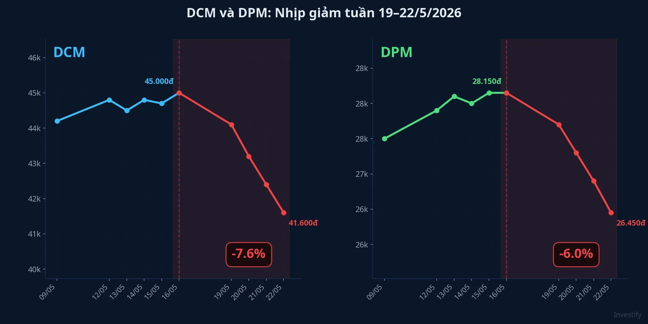 DCM và DPM cùng điều chỉnh trong tuần 19-22/5/2026, song hành với nhịp giảm của giá urê