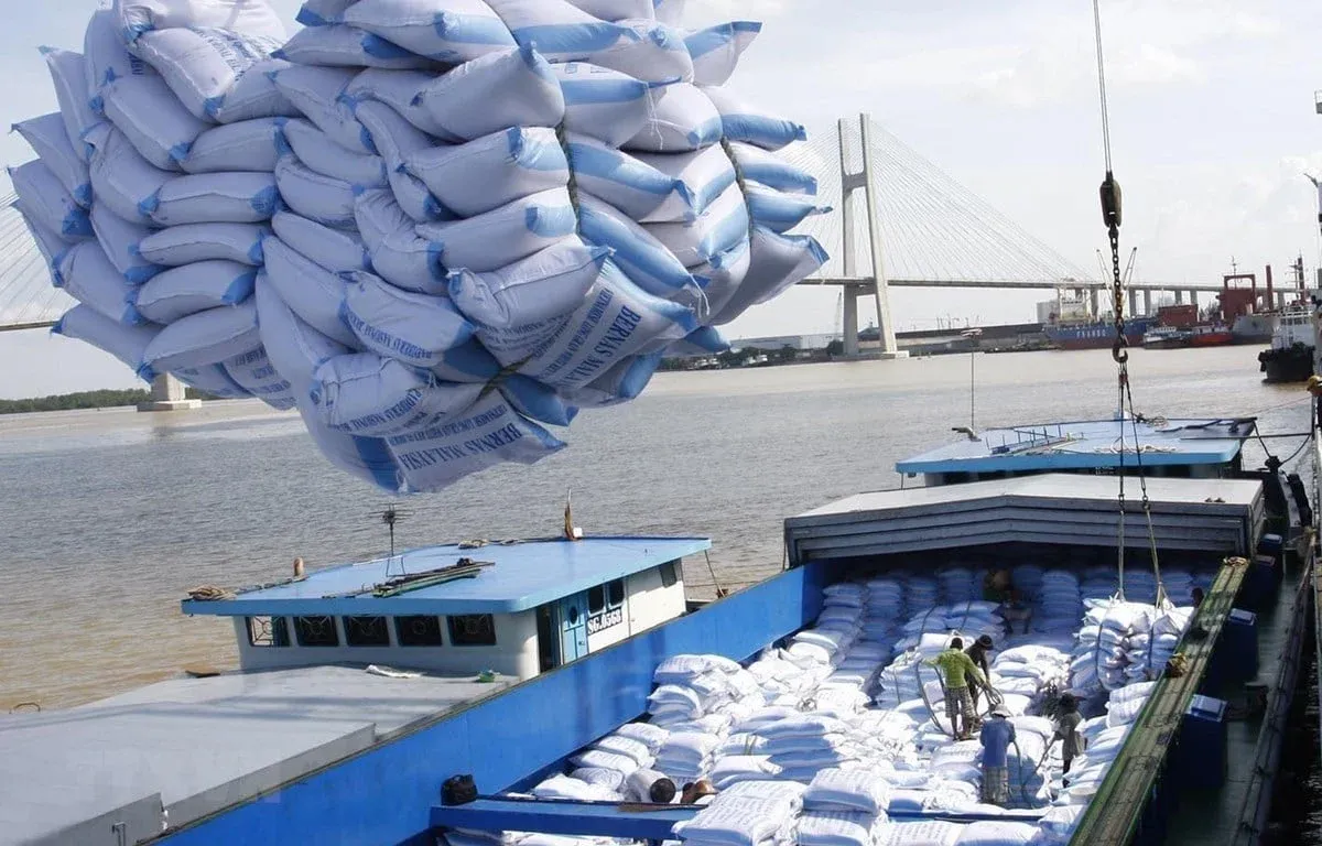 Rice Prices Up 18%, But Rice Stocks Stay Silent