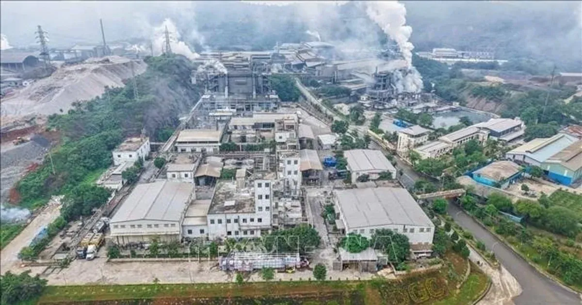 DGC Bounces 15% from Bottom While Chairman Remains Detained: Legal Risk Beyond the Charts