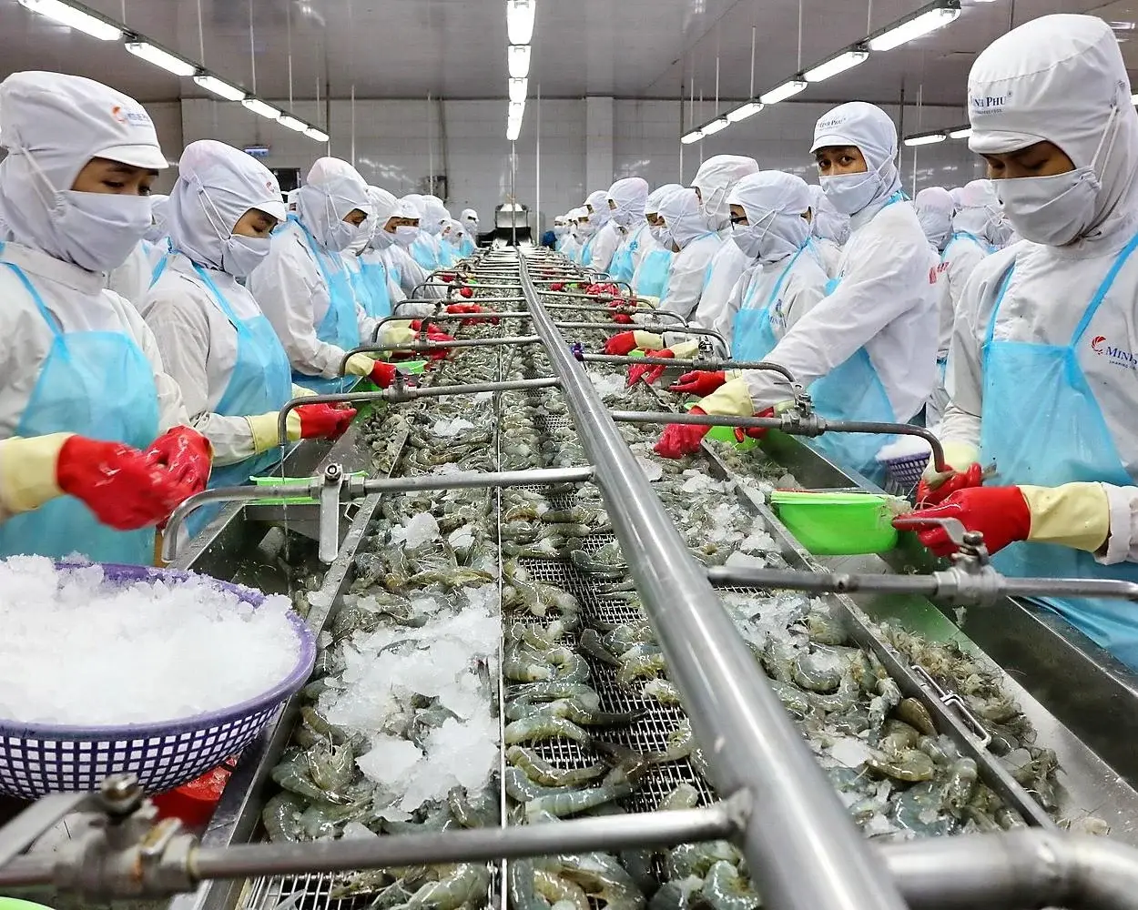 MPC Posts 12x Profit Surge: Operating Leverage and a VND 5,500B Inventory