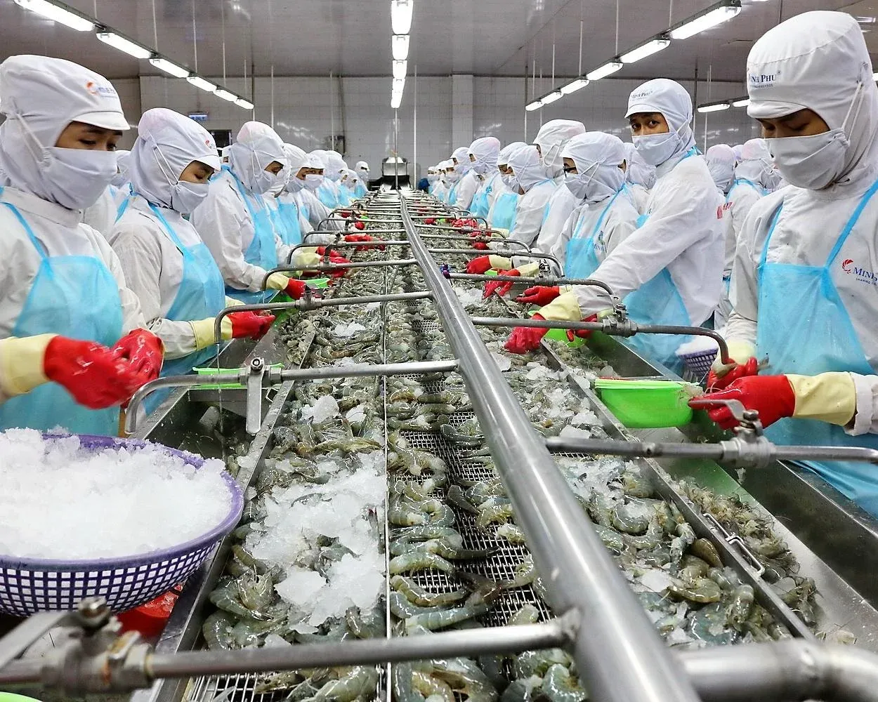 MPC Posts 12x Profit Surge: Operating Leverage and a VND 5,500B Inventory