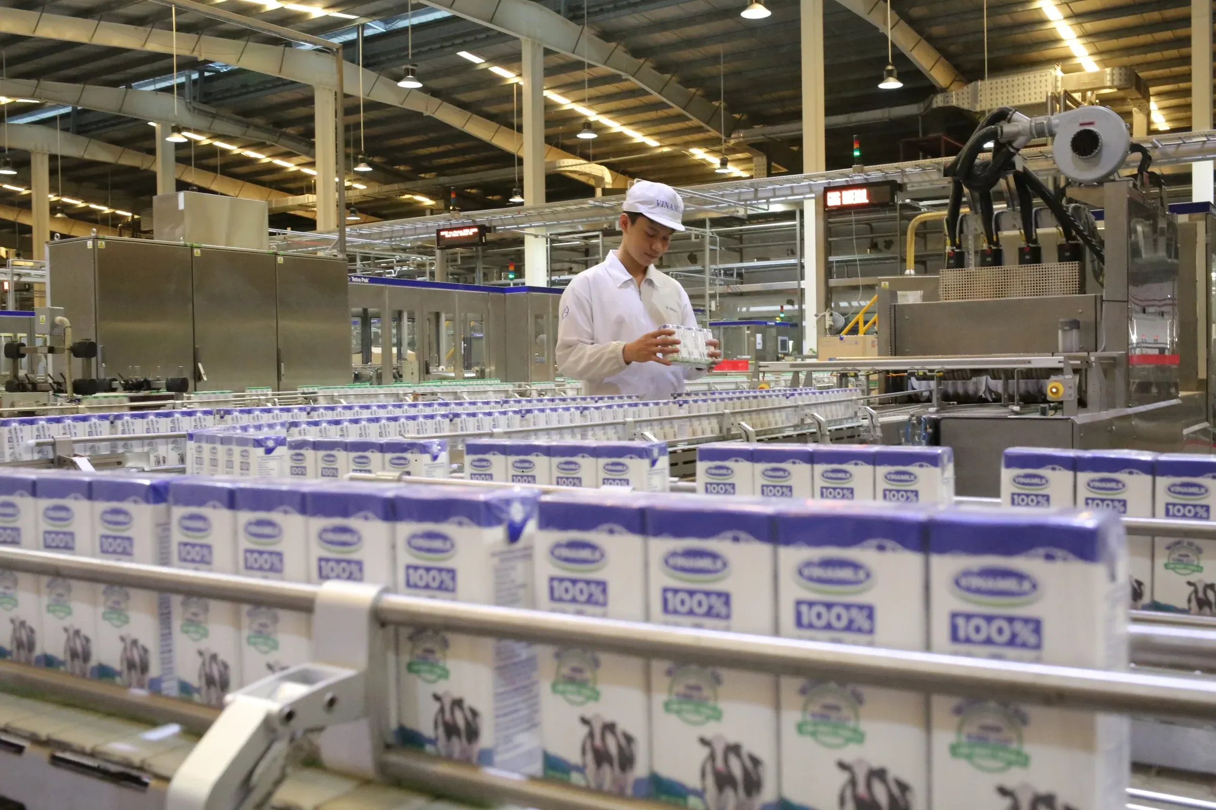 Vinamilk's manufacturing operations — the largest single dividend contributor in SCIC's portfolio