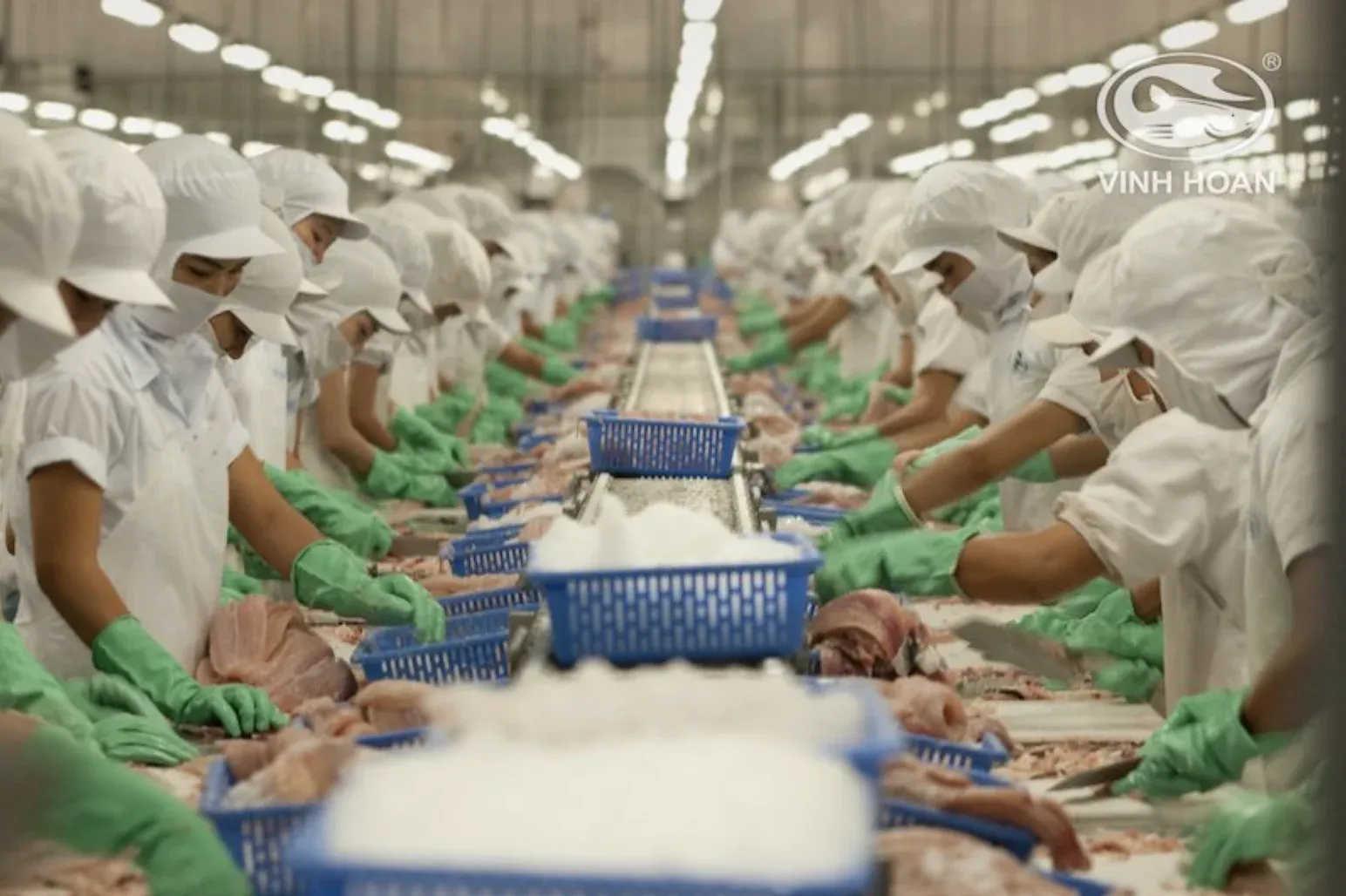 Vinh Hoan Corporation's seafood processing plant, one of Vietnam's largest pangasius exporters